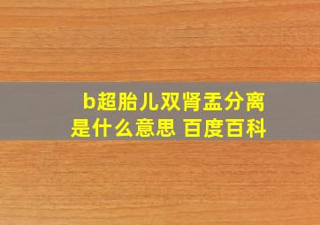 b超胎儿双肾盂分离是什么意思 百度百科